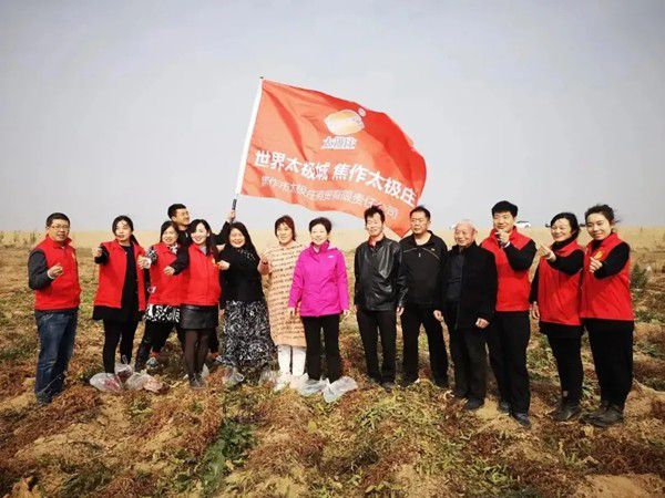 11月12日，眾人翹首以盼的太極莊山藥采挖活動(dòng)在太極莊公司的溫縣·富硒鐵棍山藥標(biāo)準(zhǔn)化種植基地拉開帷幕