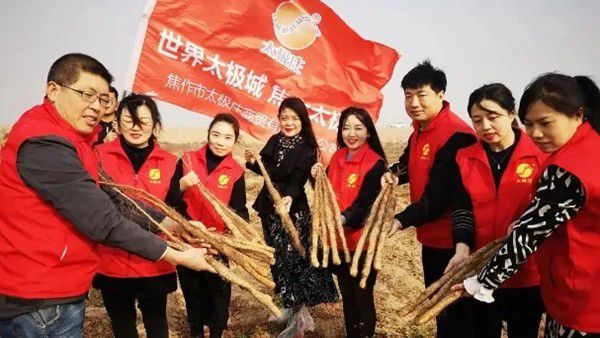 鐵棍山藥規(guī)模化、標(biāo)準(zhǔn)化種植